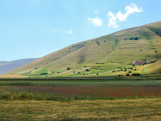 Plains of Castelluccio di Norcia and park of "Monti Sibillini" in Umbria, Italy.