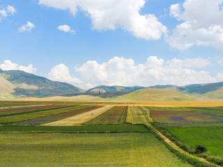 Naklejka premium The plains of Castelluccio di Norcia in the national park of 
