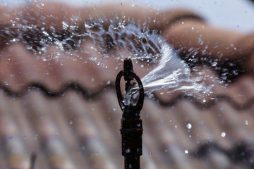 Close up of water sprinkler working