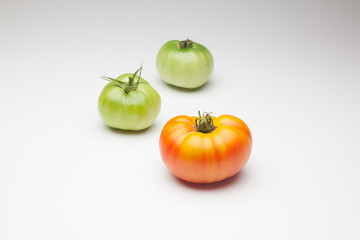 Tomate verde y tomate maduro de color rojo. El tomate verde madurará fuera de la planta el tomate rojo ha sido cogido para ser consumido de forma inminente. El tomate se puede comer crudo o cocinado