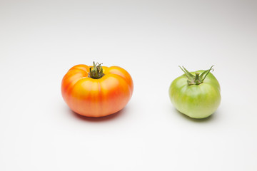 Tomate verde y tomate maduro de color rojo. El tomate verde madurará fuera de la planta el tomate rojo ha sido cogido para ser consumido de forma inminente. El tomate se puede comer crudo o cocinado