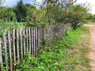 Dirt road in ukrainian village in summertime