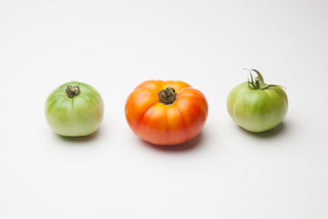Proceso de maduración del tomate, se recoge verde de la planta y se deja madurar fuera, en neveras para que llegue y se mantenga fresco durante mucho tiempo
