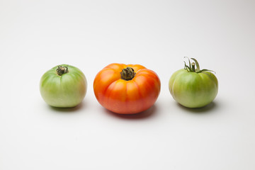 Proceso de maduración del tomate, se recoge verde de la planta y se deja madurar fuera, en neveras para que llegue y se mantenga fresco durante mucho tiempo