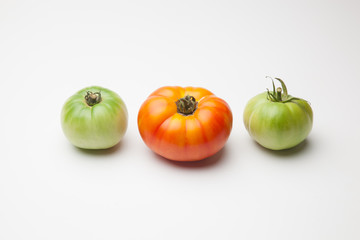 Tomate verde y tomate maduro de color rojo. El tomate verde madurará fuera de la planta el tomate rojo ha sido cogido para ser consumido de forma inminente. El tomate se puede comer crudo o cocinado