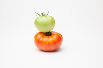 Proceso de maduración del tomate, se recoge verde de la planta y se deja madurar fuera, en neveras para que llegue y se mantenga fresco durante mucho tiempo