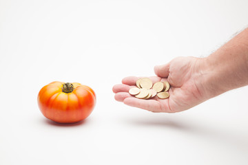 Fototapeta premium Dinero en la mano con el fondo de verdura y productos frescos, en este caso tomates. El precio de los productos, el precio de las cosechas.