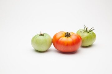 Proceso de maduración del tomate, se recoge verde de la planta y se deja madurar fuera, en neveras para que llegue y se mantenga fresco durante mucho tiempo