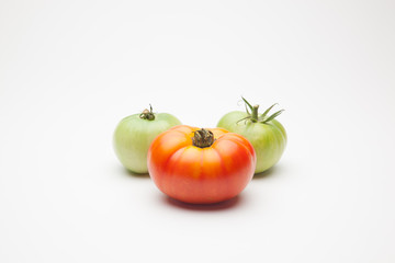 Proceso de maduración del tomate, se recoge verde de la planta y se deja madurar fuera, en neveras para que llegue y se mantenga fresco durante mucho tiempo