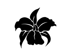 Drawing of an orchid flower, black silhouette, vector illustration © Leiana