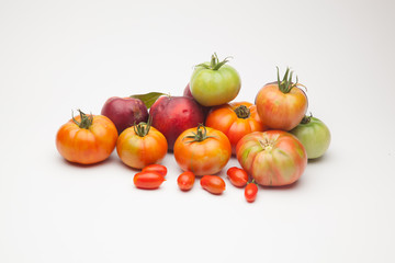 Nectarinas, tomates maduros y tomates cherri sobre un fondo blanco. Los productos han sido traidos de un huerto ecológico, cultivados sin productos químicos ni pesticidas.