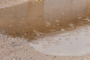 puddle in the rain,shot on a summer day