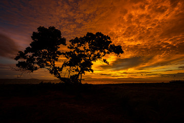 Amazing sunset.Colorful sky in the sunset. Natural Sunset Sunrise Over Field Or Meadow. Bright Dramatic Sky And Dark Ground.Sky background.