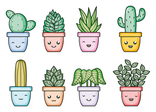 house plants and cactus kawaii comic characters