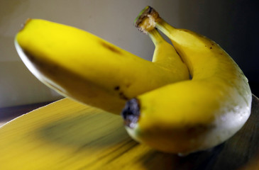 banana tropical fruit