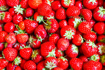 beautiful red background from fresh strawberries close-up