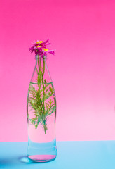 flowers in a glass bottle on a pink background