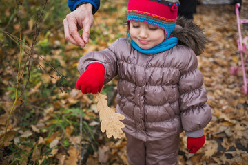 little child, baby girl playing leaves in the autumn on the nature walk outdoors.