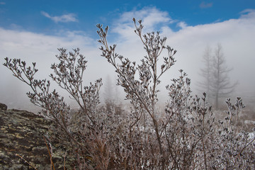 Russia. mountain Altai. Early morning at the Katu-Yaryk pass with views of the Chulyshman river valley.