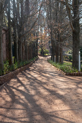 Forest Road