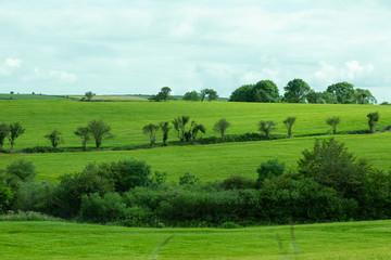 Fototapeta na wymiar Irish countryside