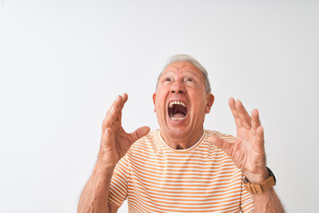 Senior grey-haired man wearing striped t-shirt standing over isolated white background crazy and mad shouting and yelling with aggressive expression and arms raised. Frustration concept.