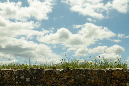 wildflowers on top of a stone wall against the sky