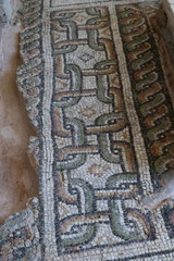 Colourful visions of ancient Rome. Polychrome Roman Mosaics from Bulgaria