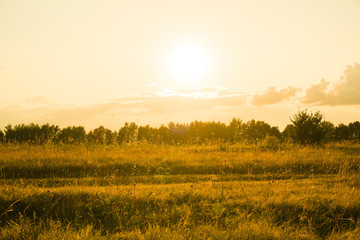 Obraz premium sunset over field