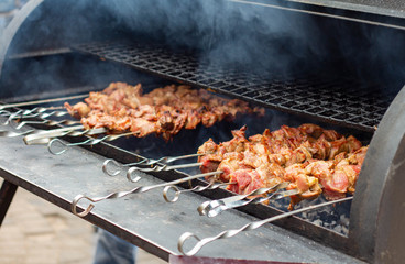 street food: grilled meat (roasted on fire), barbecue, kebab