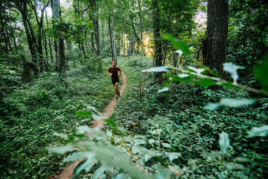 Trail running the Mountain To Sea Trail. Asheville, NC.