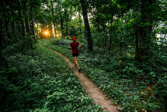 Trail running the Mountain To Sea Trail. Asheville, NC.