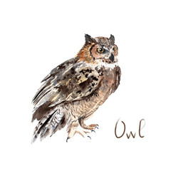 Naklejka premium watercolor drawing of a forest animal - owl