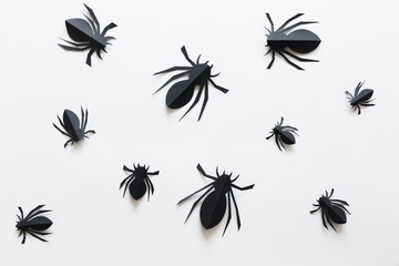 Spiders on white background. Halloween holiday concept. Top view, flat lay