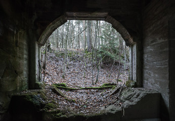 bunker in forest 4