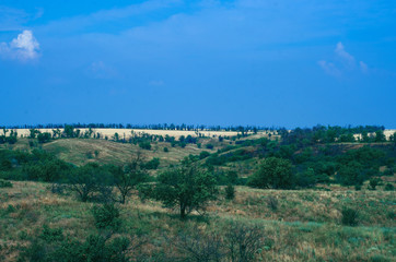 Fototapeta premium field hills view of the sea nature background