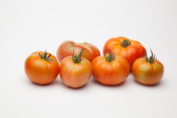 Tomates ecológicos recién cogidos del huerto para ser llevado a la mesa para ser comido ya sea cruzo en zumo o bien cocinado en salsa, mermelada, sofrito, relleno o como acompañamiento
