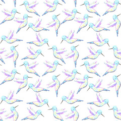 A cute Hummingbird with iridescent feathers- bird seamless watercolor birds painting background