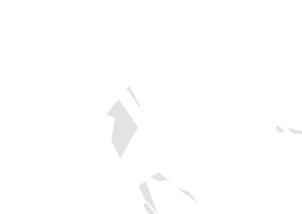 Black and white abstract background. geometric shapes. Poster.