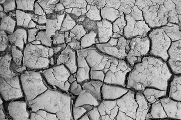 Cracked soil during a drought. Deep cracks in the land. Global warming is an ecological catastrophe