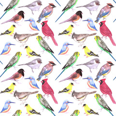 Various birds seamless watercolor background- budgie cardinal goldfinch titmouse kingfisher cedar waxwing juncos2