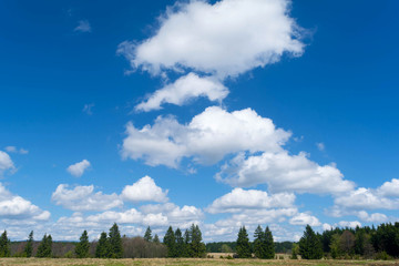 Beautiful blue sky with puffy white clouds over green tree crowns landscape. Nature,relaxing,trip...