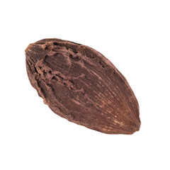 single black cardamom pod isolated on white background