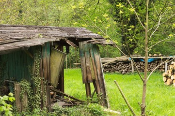 Ruined wooden hut in the garden (Germany, Europe)