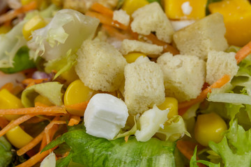 salade composée