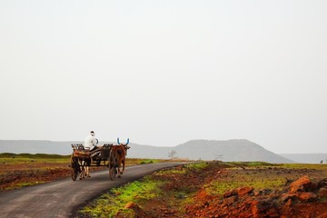 Obraz premium Village Landscapes