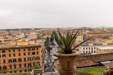 aloe vera in flowerpot in front of buildings under overcast sky in rome, italy