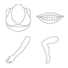 Vector illustration of body and part symbol. Set of body and anatomy vector icon for stock.