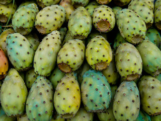 Cactus fruit