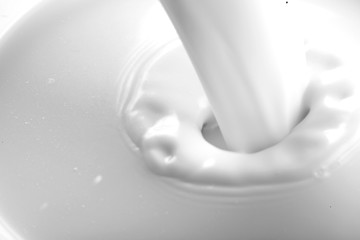 Close-up of Pouring Milk